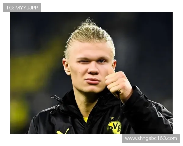 哈兰德本赛季英超联赛进球占比创历史新高达647球队依赖程度惊人