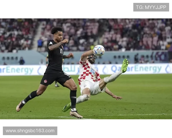 克罗地亚足球历史身价排行榜格瓦迪奥尔领衔拉基蒂奇紧随其后